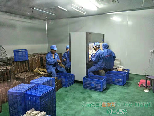 超凈100級(jí)接種三