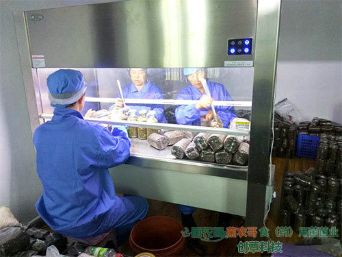 超凈100級(jí)接種二