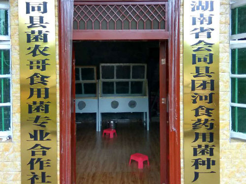 湖南創(chuàng)蕈農(nóng)業(yè)科技有限公司,懷化食用菌種植銷售,懷化羊肚菌種植銷售,懷化赤松茸種植銷售 湖南創(chuàng)蕈農(nóng)業(yè)科技有限公司,懷化食用菌種植銷售,懷化羊肚菌種植銷售,懷化赤松茸種植銷售